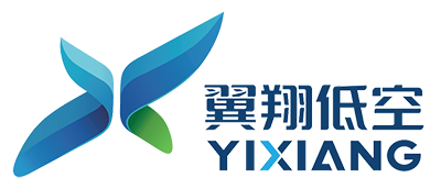 广西翼翔低空经济有限公司 Logo